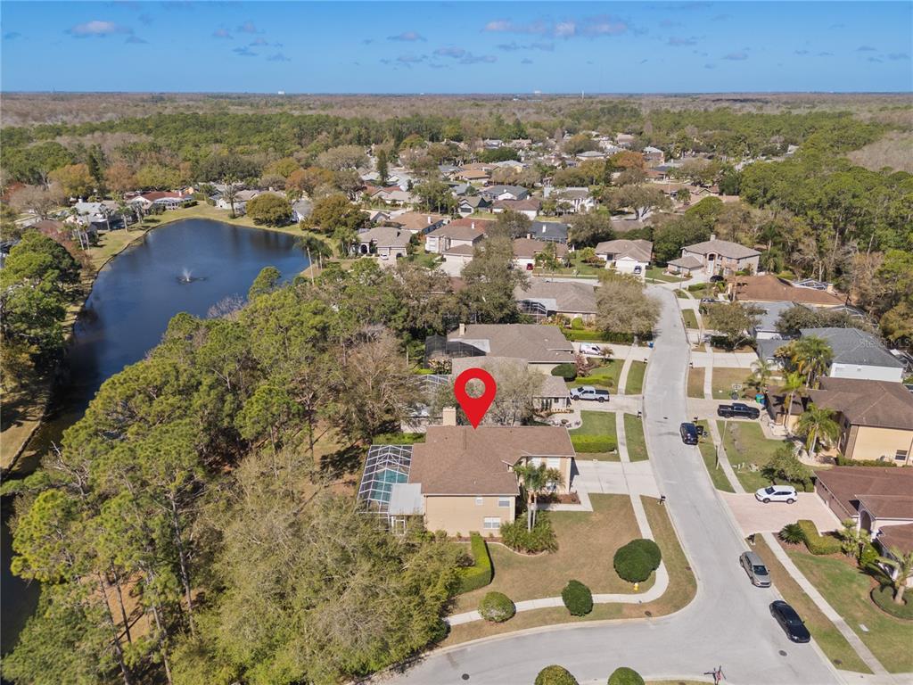 4202 Rotherham Court Palm Harbor, FL 34685 - Photo 53 of 61 an aerial view of residential houses with outdoor space