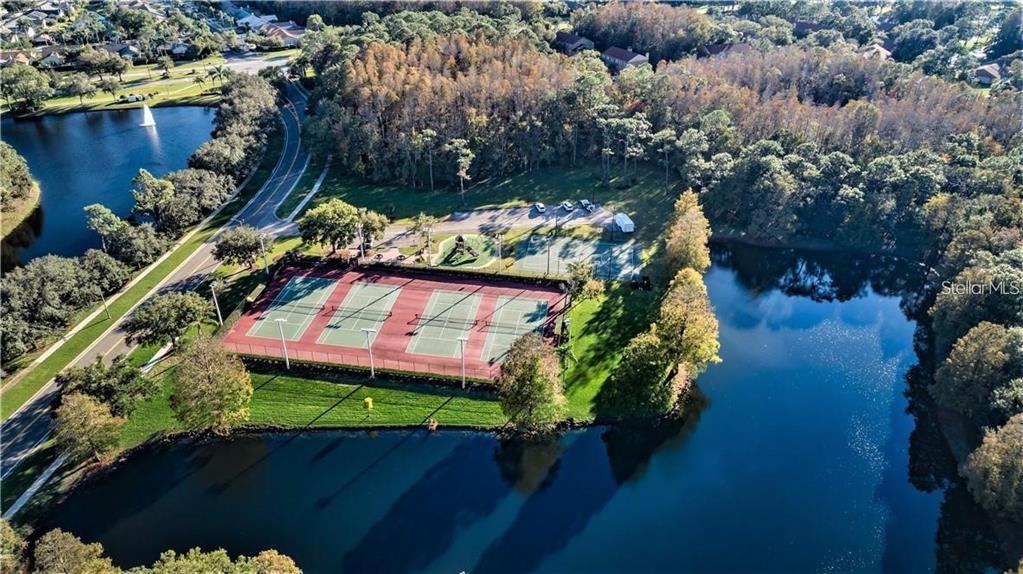 4202 Rotherham Court Palm Harbor, FL 34685 - Photo 56 of 61