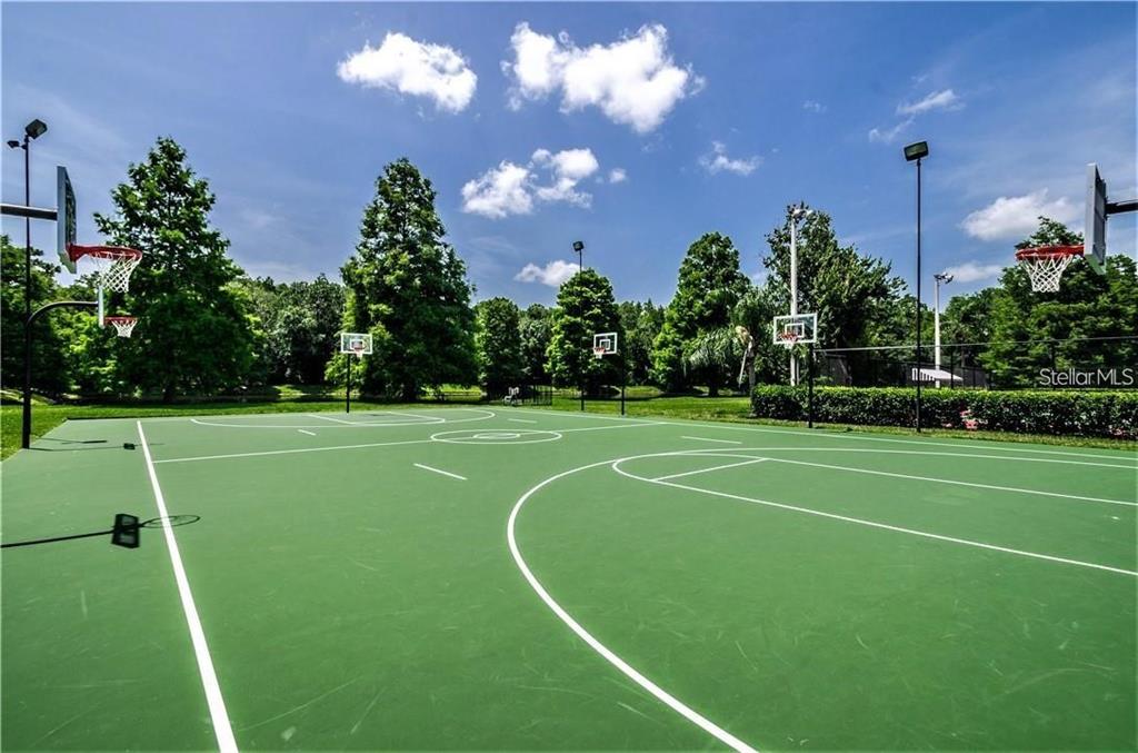 4202 Rotherham Court Palm Harbor, FL 34685 - Photo 58 of 61