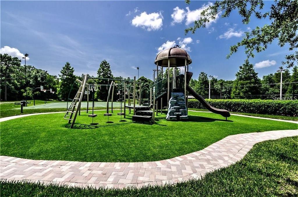 4202 Rotherham Court Palm Harbor, FL 34685 - Photo 59 of 61 a view of a park with a slide