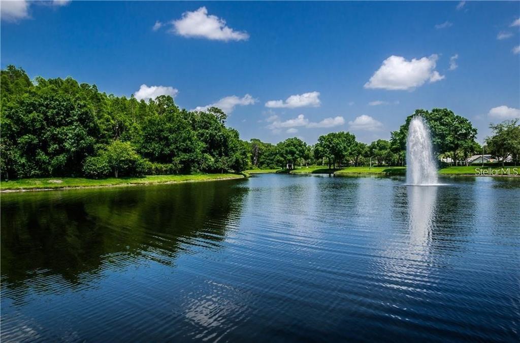 4202 Rotherham Court Palm Harbor, FL 34685 - Photo 60 of 61 a view of a lake with a big yard