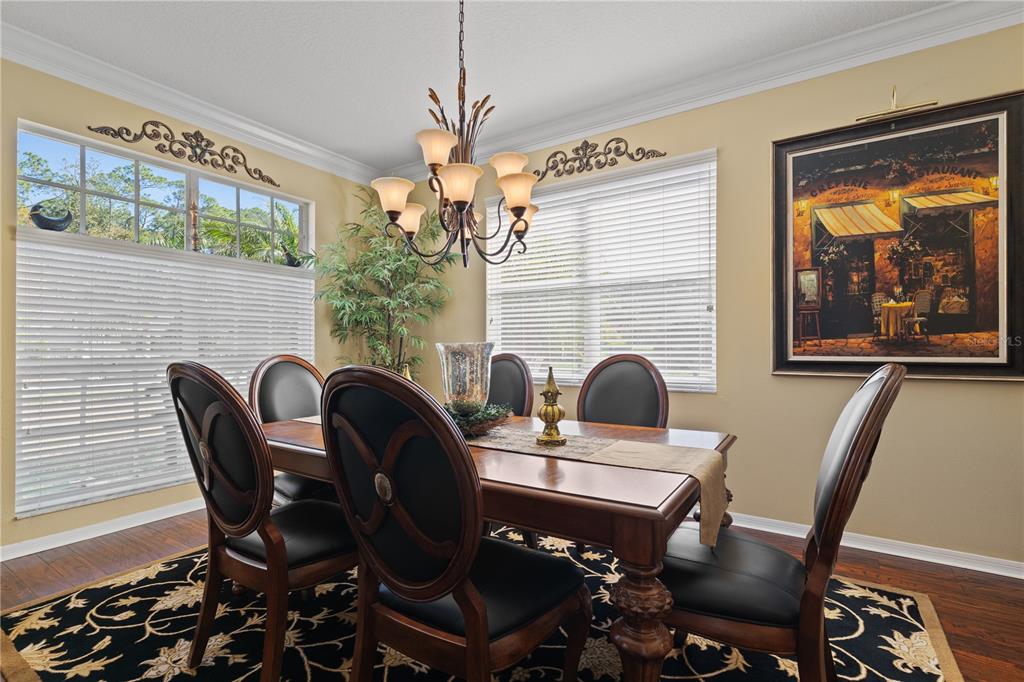 4202 Rotherham Court Palm Harbor, FL 34685 - Photo 10 of 61