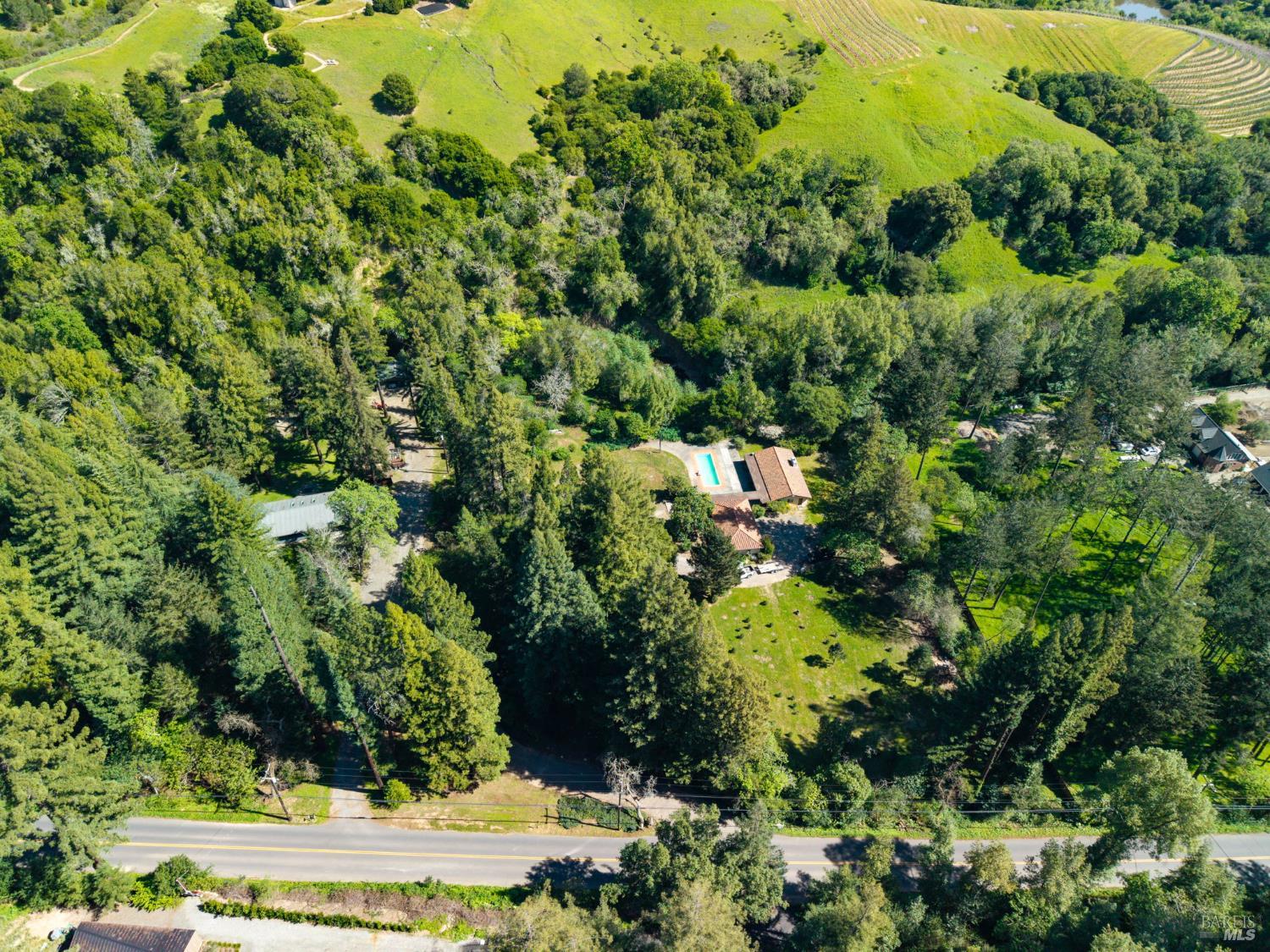 3320 Redwood Road Napa, CA 94558 - Photo 44 of 57 a view of a garden with plants