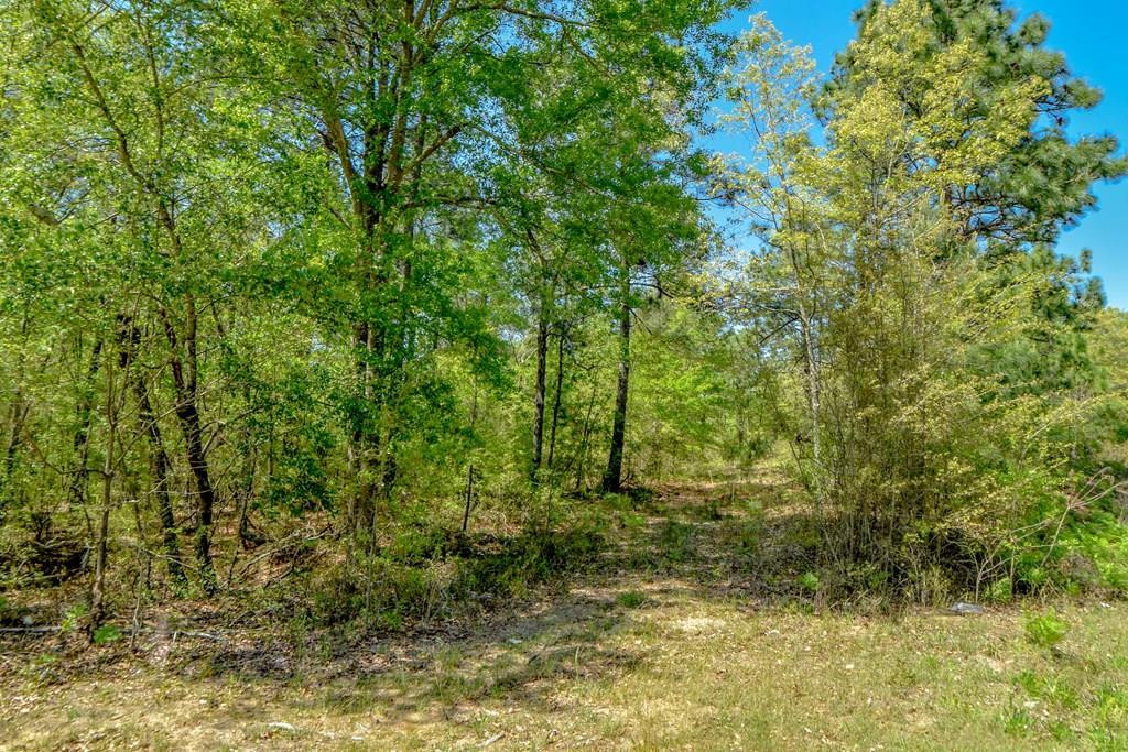 2516 Silver Bluff Road Aiken, SC 29803 - Photo 2 of 4