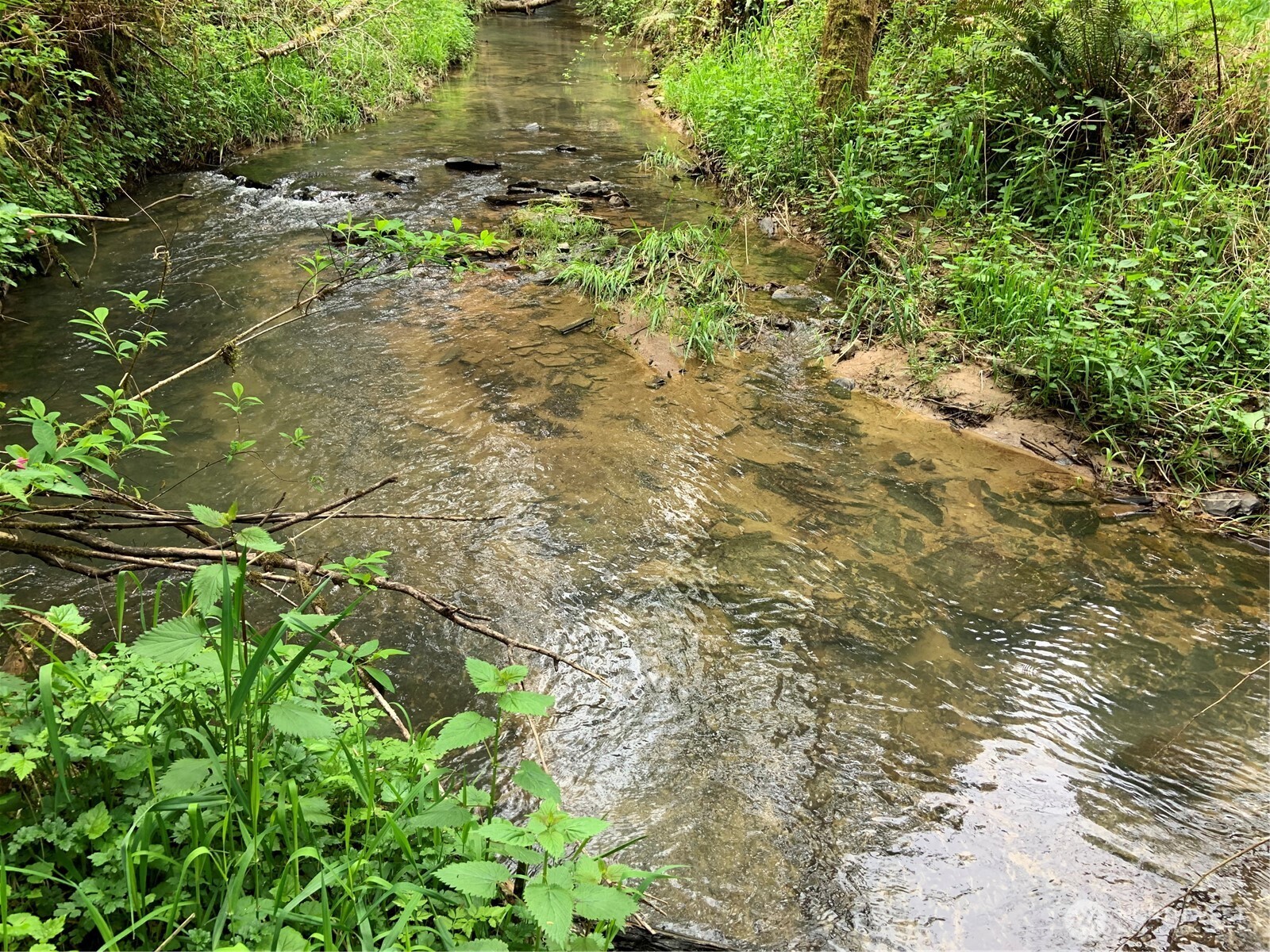 2571 Hazel Dell Road Castle Rock, WA 98611 - Photo 28 of 32