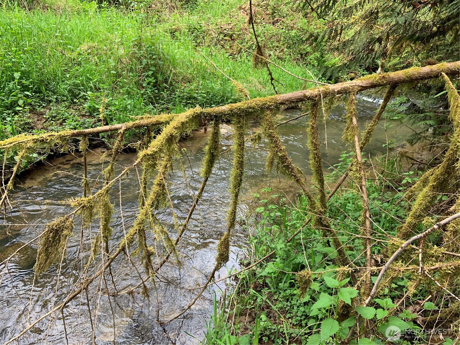 2571 Hazel Dell Road Castle Rock, WA 98611 - Photo 29 of 32