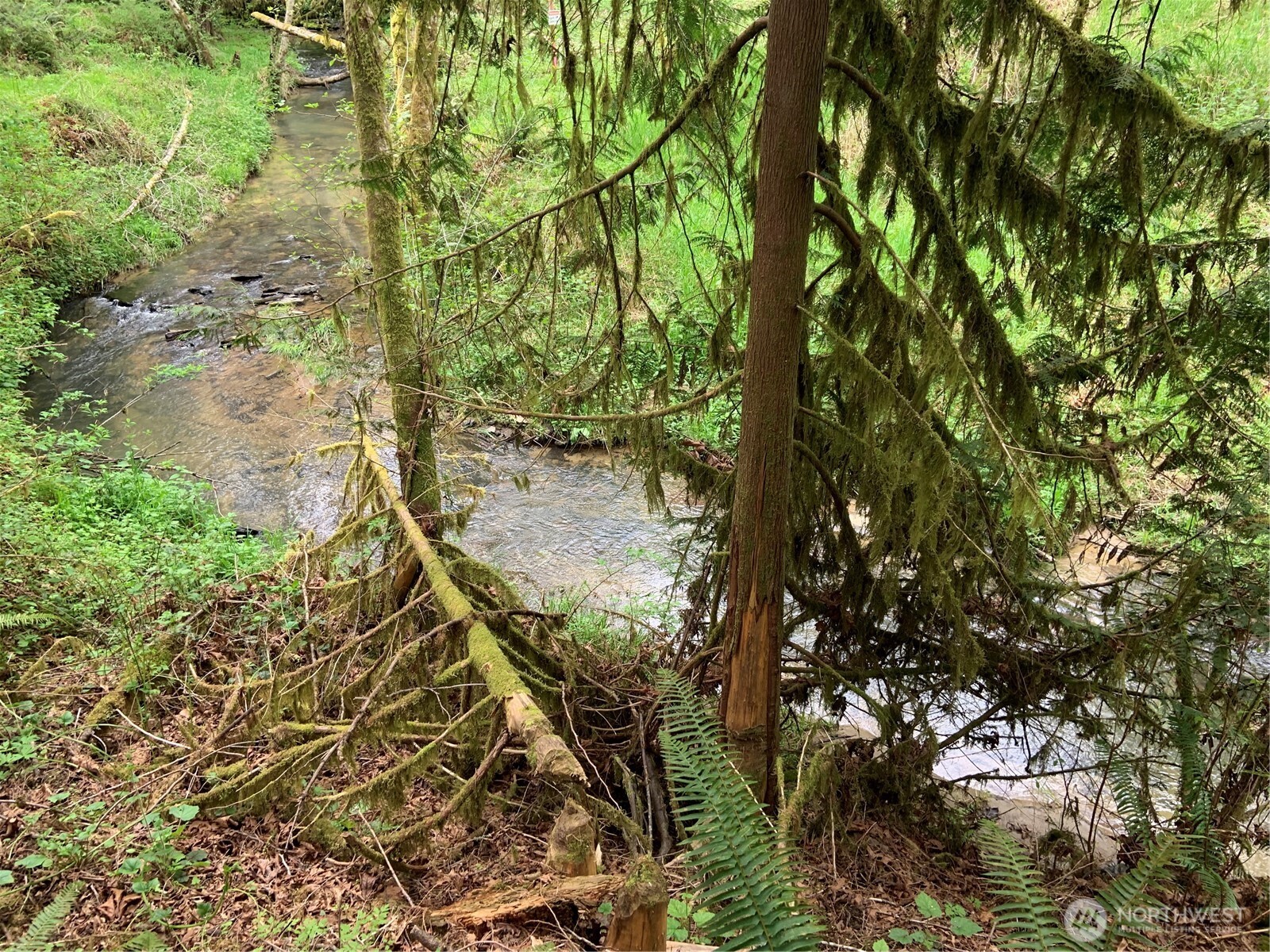 2571 Hazel Dell Road Castle Rock, WA 98611 - Photo 30 of 32