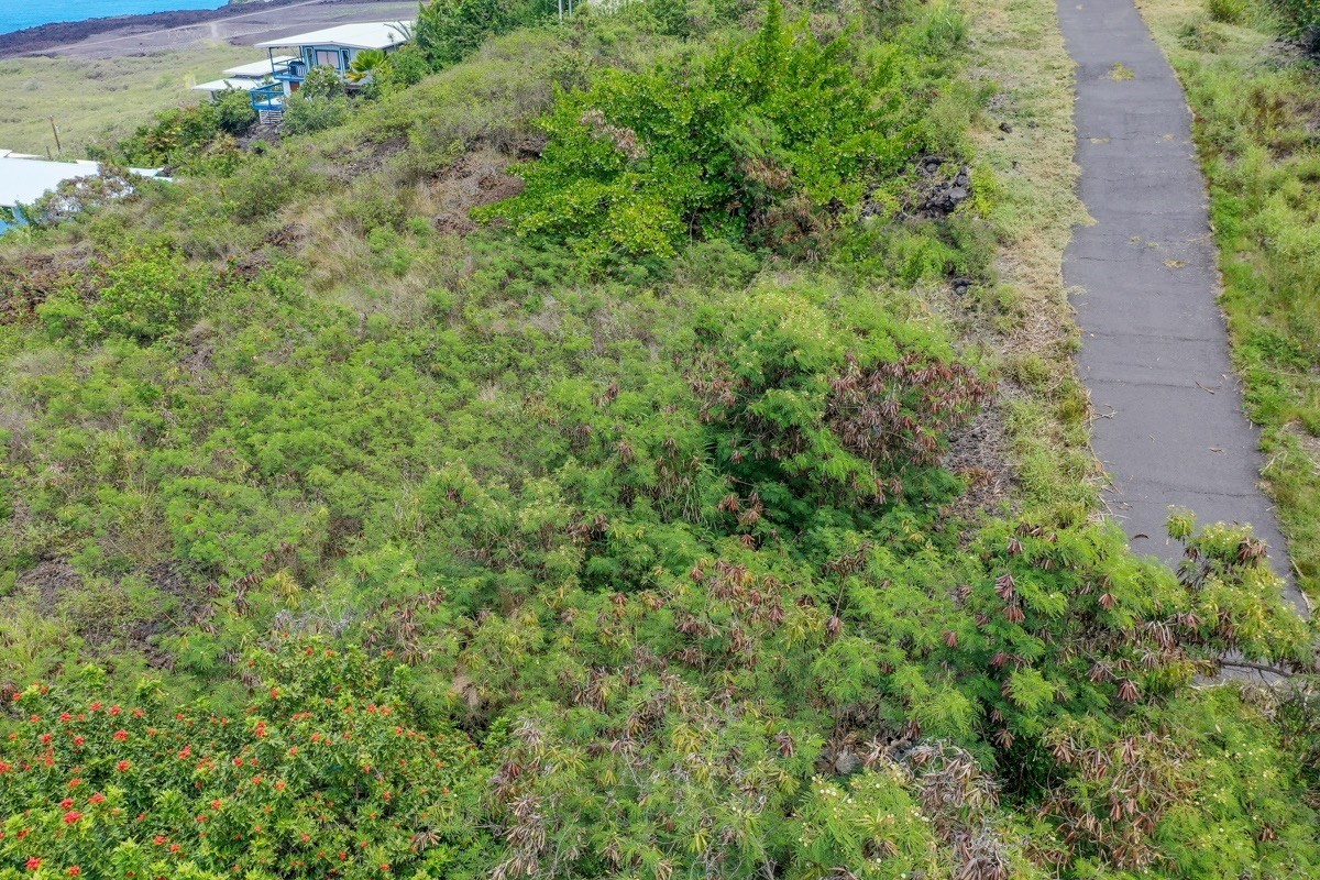 235 Honu Hiamoe Road Captain Cook, HI 96704 - Photo 4 of 30 Gallery Image 4