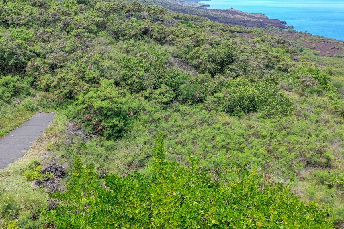 235 Honu Hiamoe Road Captain Cook, HI 96704 - Photo 5 of 30 Gallery Image 5