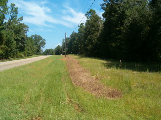 53 County Road Abbeville, AL 36310 - Photo 1 of 1
