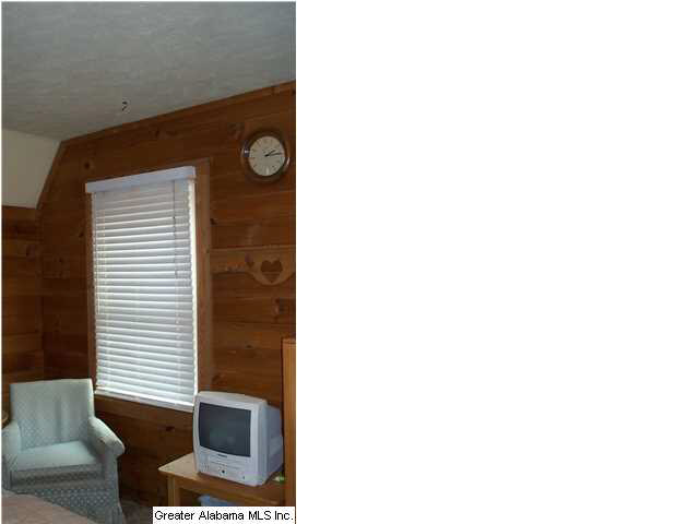 17714 Highway 46, Unit 1 Ranburne, AL 36273 - Photo 10 of 11