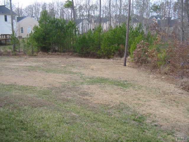 4802 Tapestry Terrace Durham, NC 27713 - Photo 5 of 12 a view of a yard with a tree