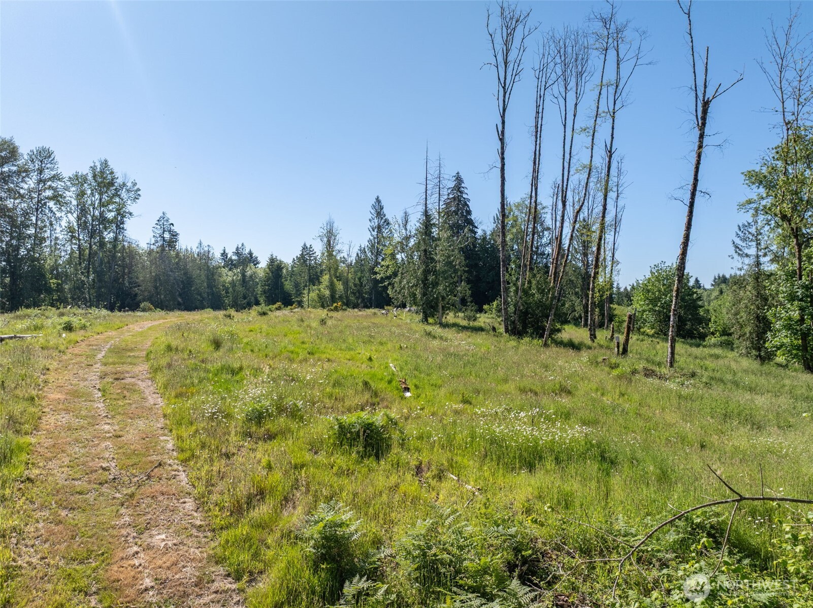 0 Chilvers Road Chehalis, WA 98532 - Photo 35 of 40