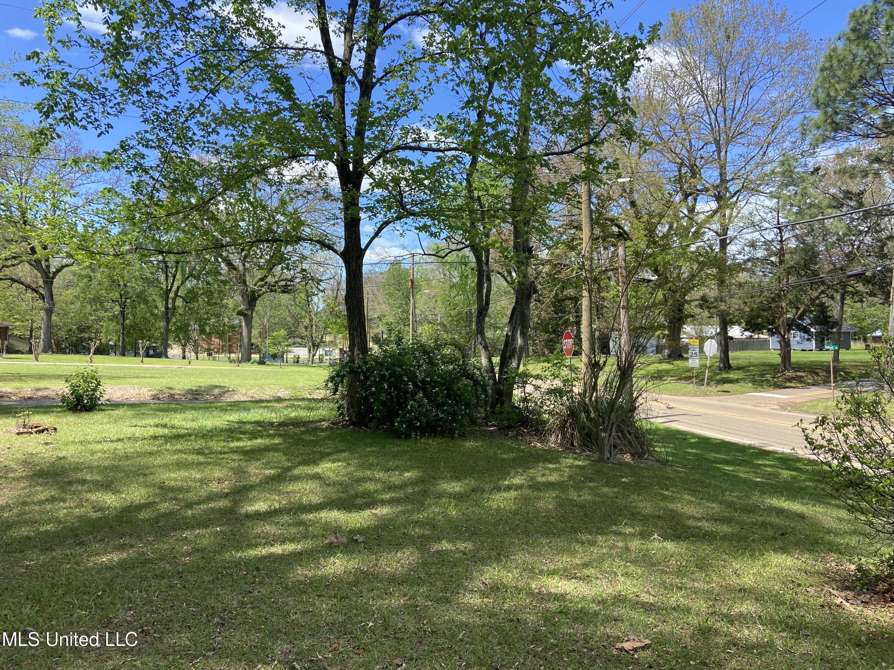 704 East Jackson Road Union, MS 39365 - Photo 6 of 7 IMG_6568