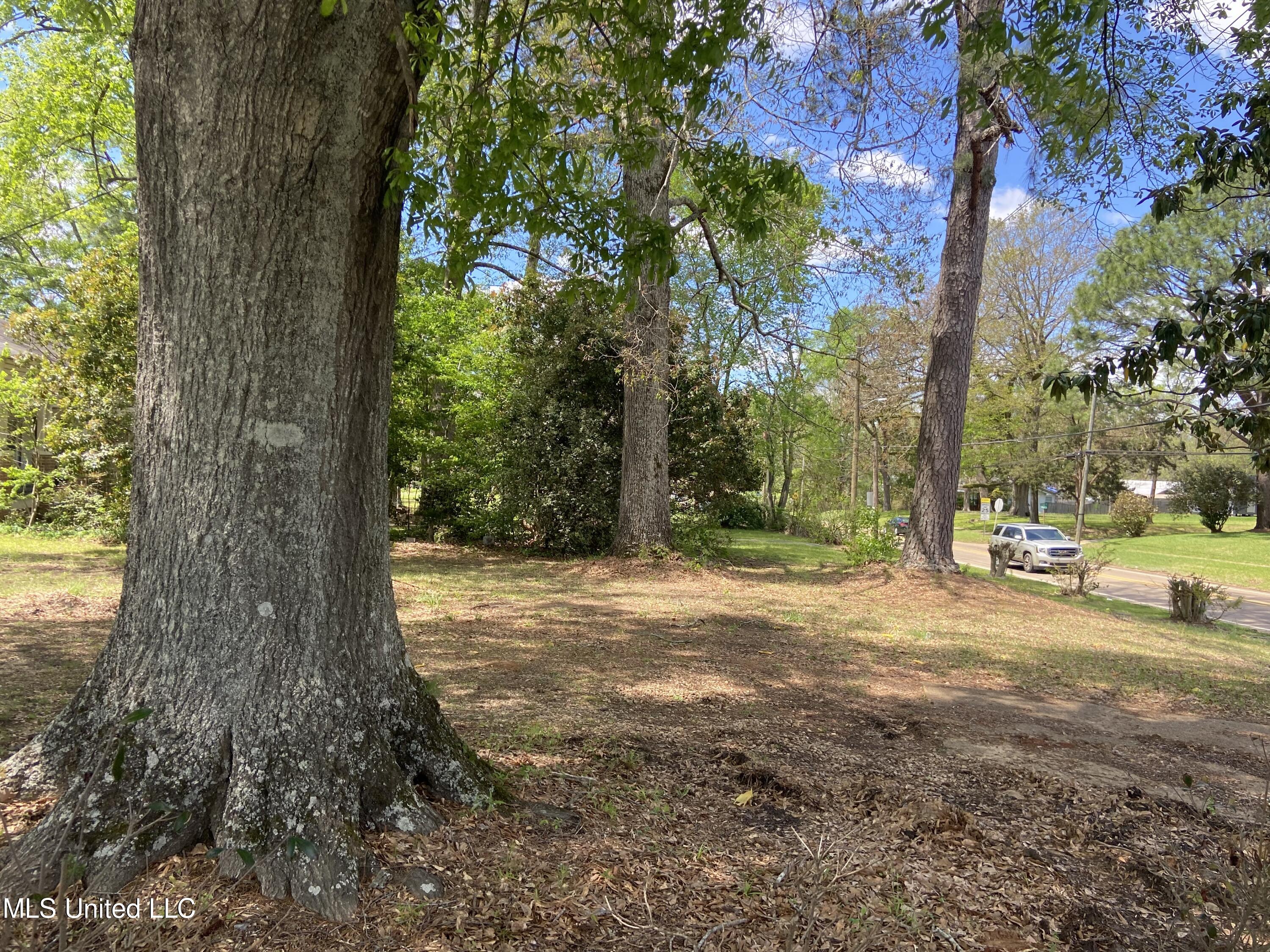 704 East Jackson Road Union, MS 39365 - Photo 7 of 7 IMG_6565