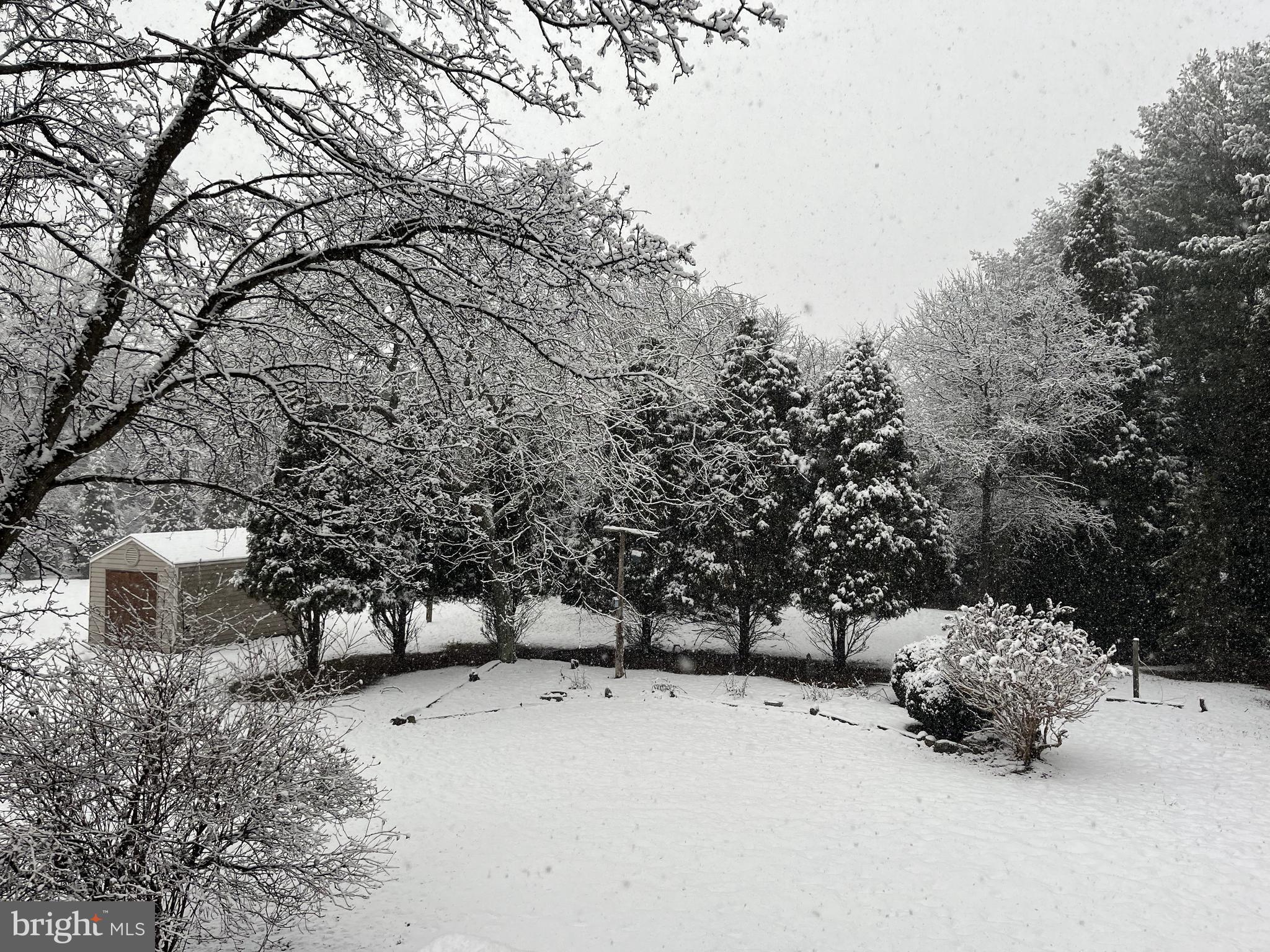 515 Windy Ridge Road Front Royal, VA 22630 - Photo 55 of 56 Peaceful Snow!