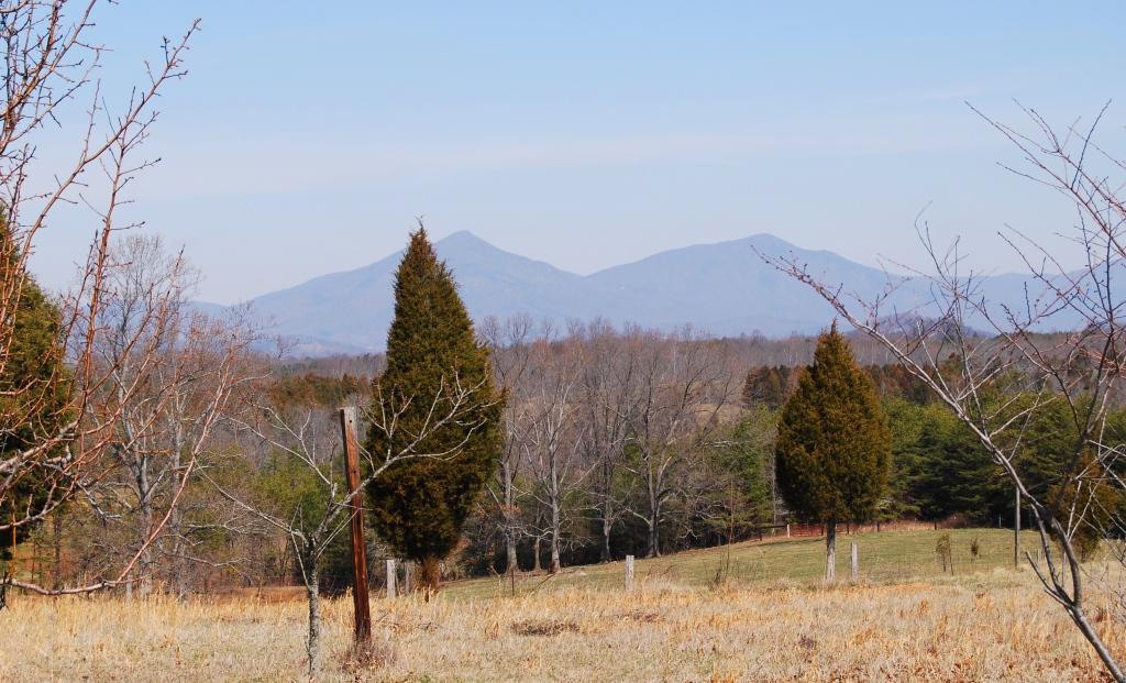 2140 Shepherds Store Road Bedford, VA 24523 - Photo 2 of 9 View from house