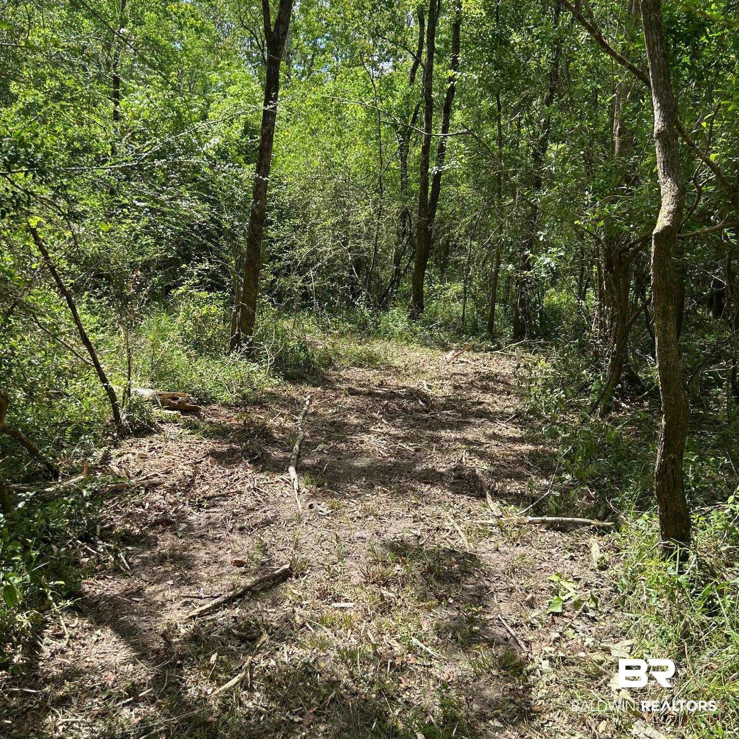 23587 Cowling Road Robertsdale, AL 36567 - Photo 19 of 40 Gallery Image 19