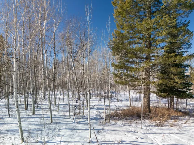 $150,000 | Lot 60 West Forest Drive, Thayne, WY 83127