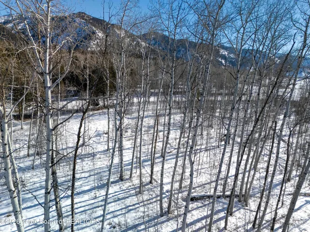 $150,000 | Lot 60 West Forest Drive, Thayne, WY 83127