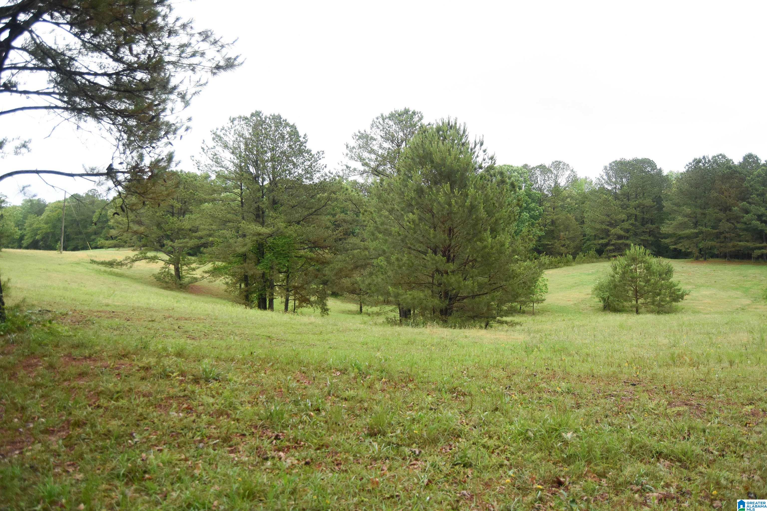 2488 Louina Road Roanoke, AL 36274 - Photo 74 of 97