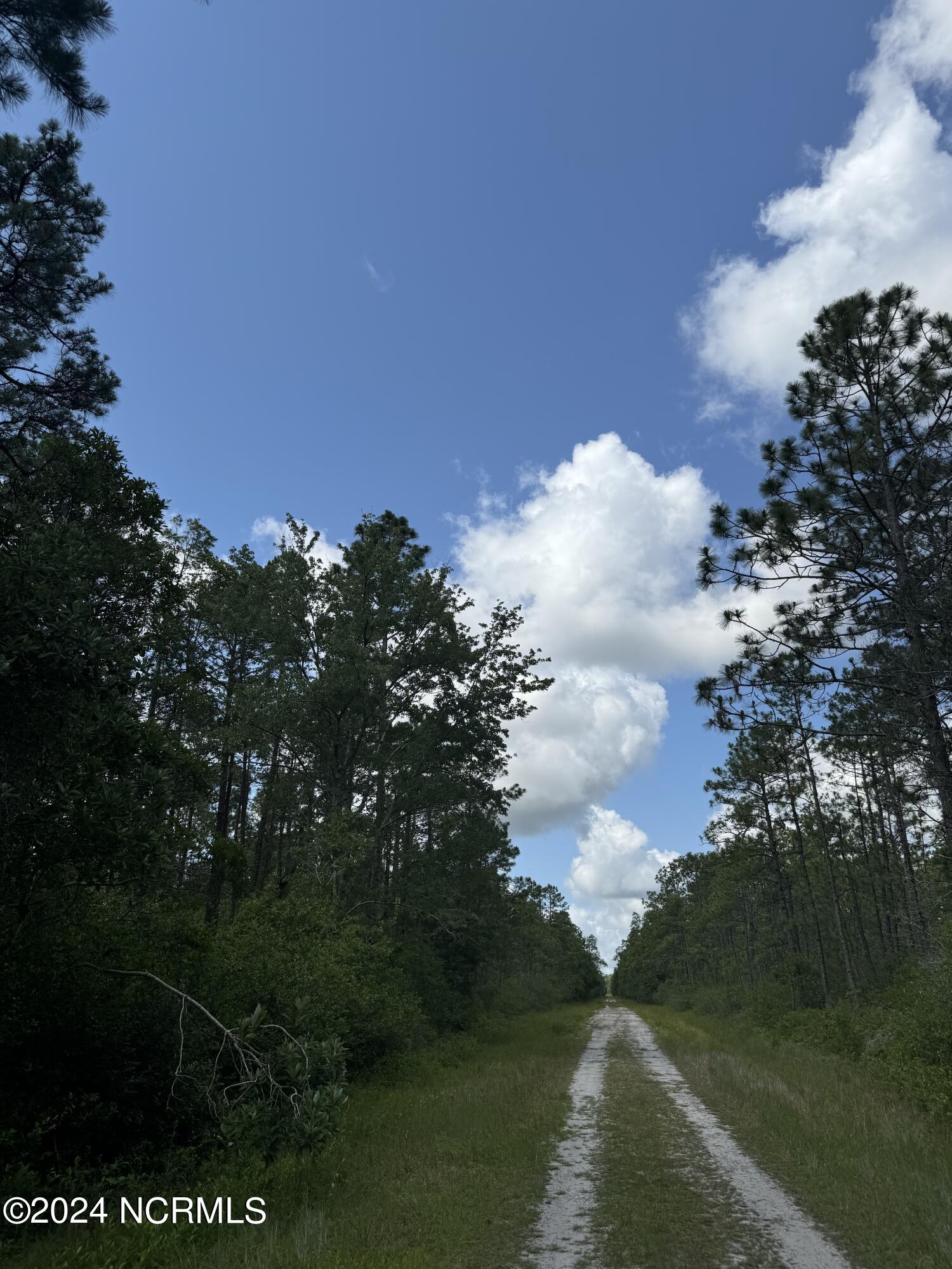 1120 Beech Road Boiling Spring Lakes, NC 28461 - Photo 2 of 4 83 Beech Road Boiling Springs, NC