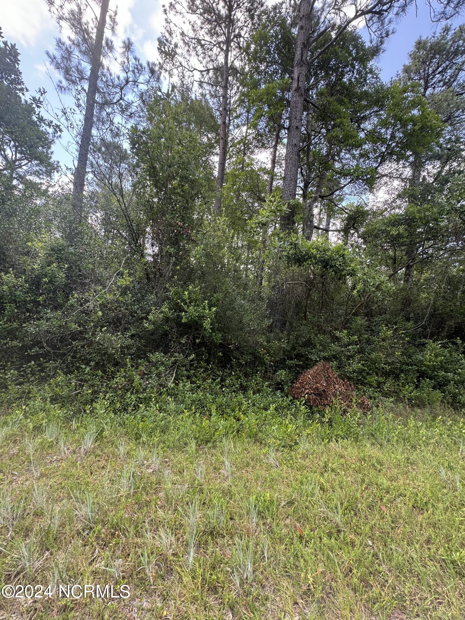 1120 Beech Road Boiling Spring Lakes, NC 28461 - Photo 3 of 4 lot 83