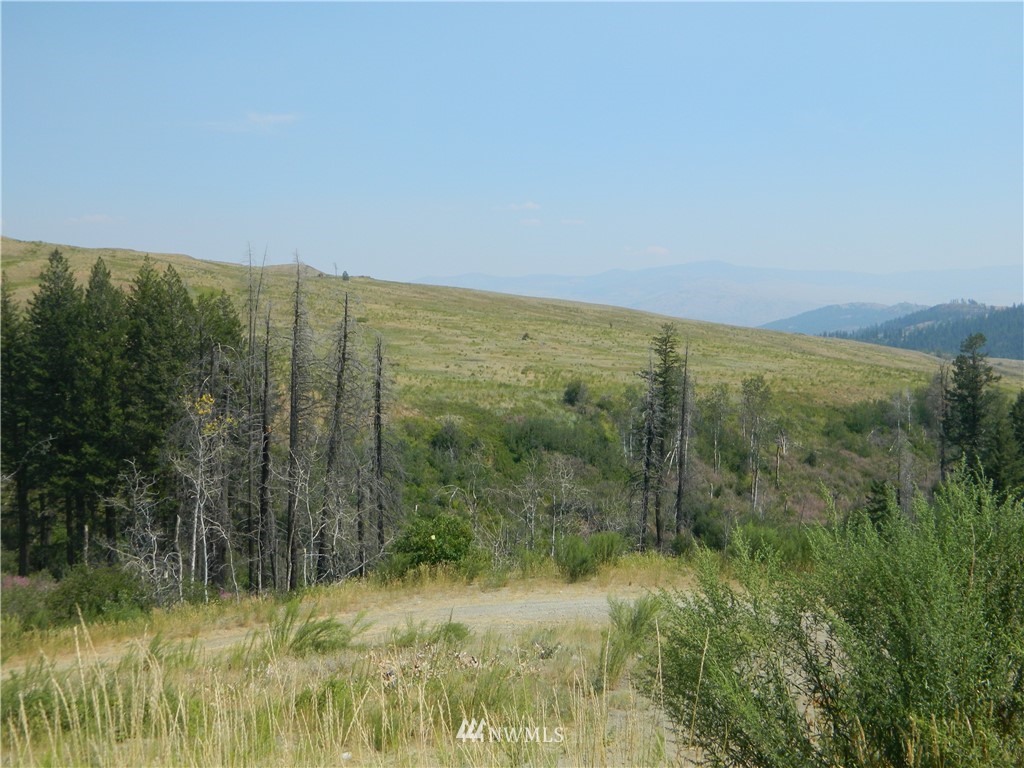 108 Van Der Schelden Road Tonasket, WA 98855 - Photo 22 of 30 Gallery Image 22