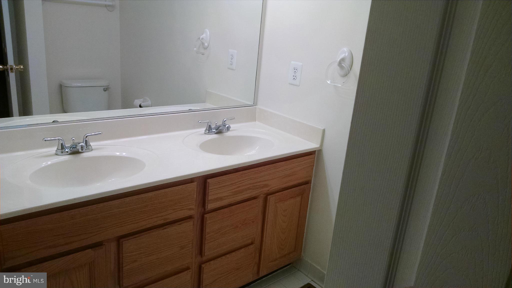 8729 Autumn Ridge Court Odenton, MD 21113 - Photo 17 of 18 Owners Suite Private Attached Bath - Double Sinks