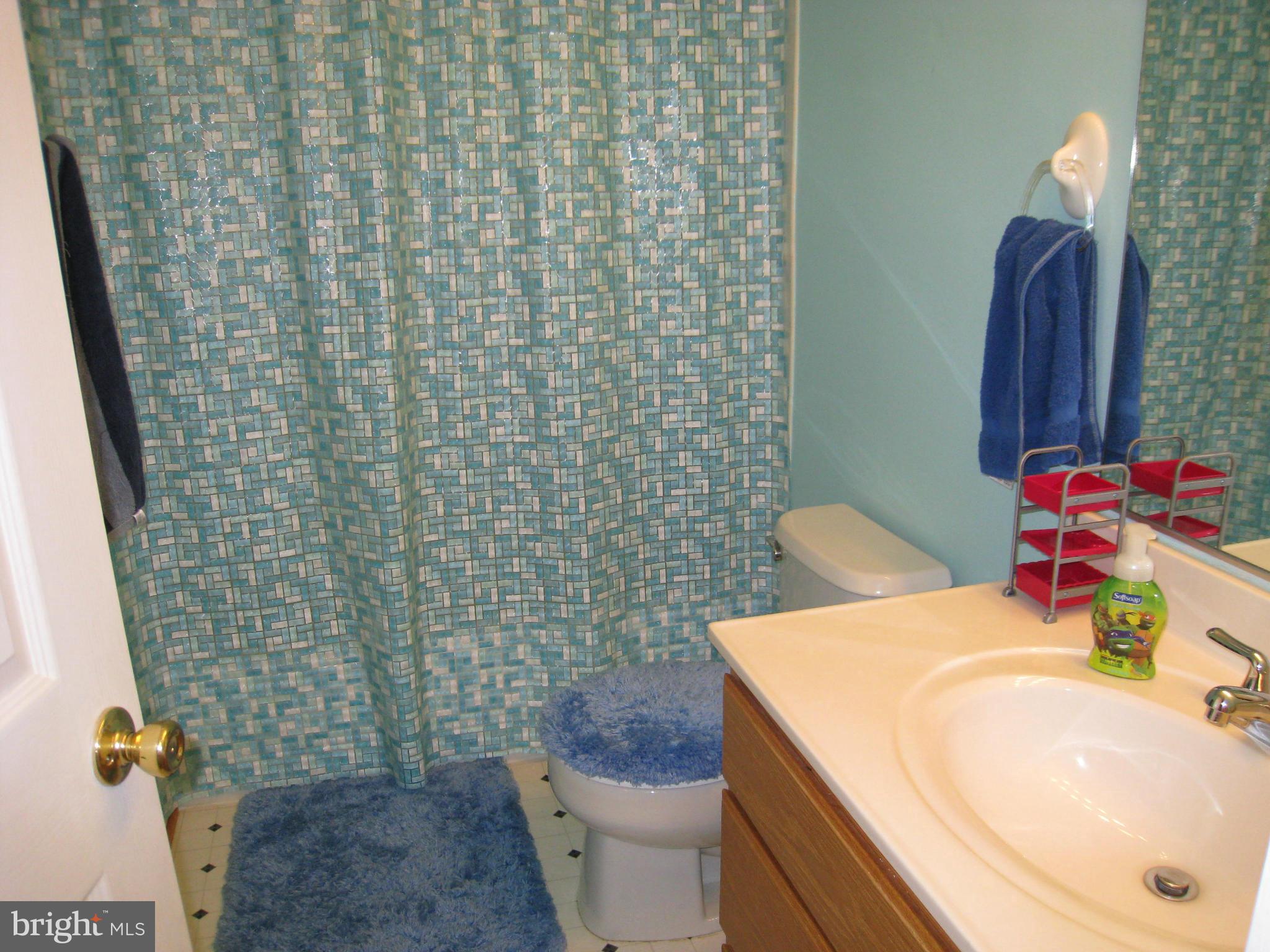 8729 Autumn Ridge Court Odenton, MD 21113 - Photo 10 of 18 Hall Bath on Middle Level