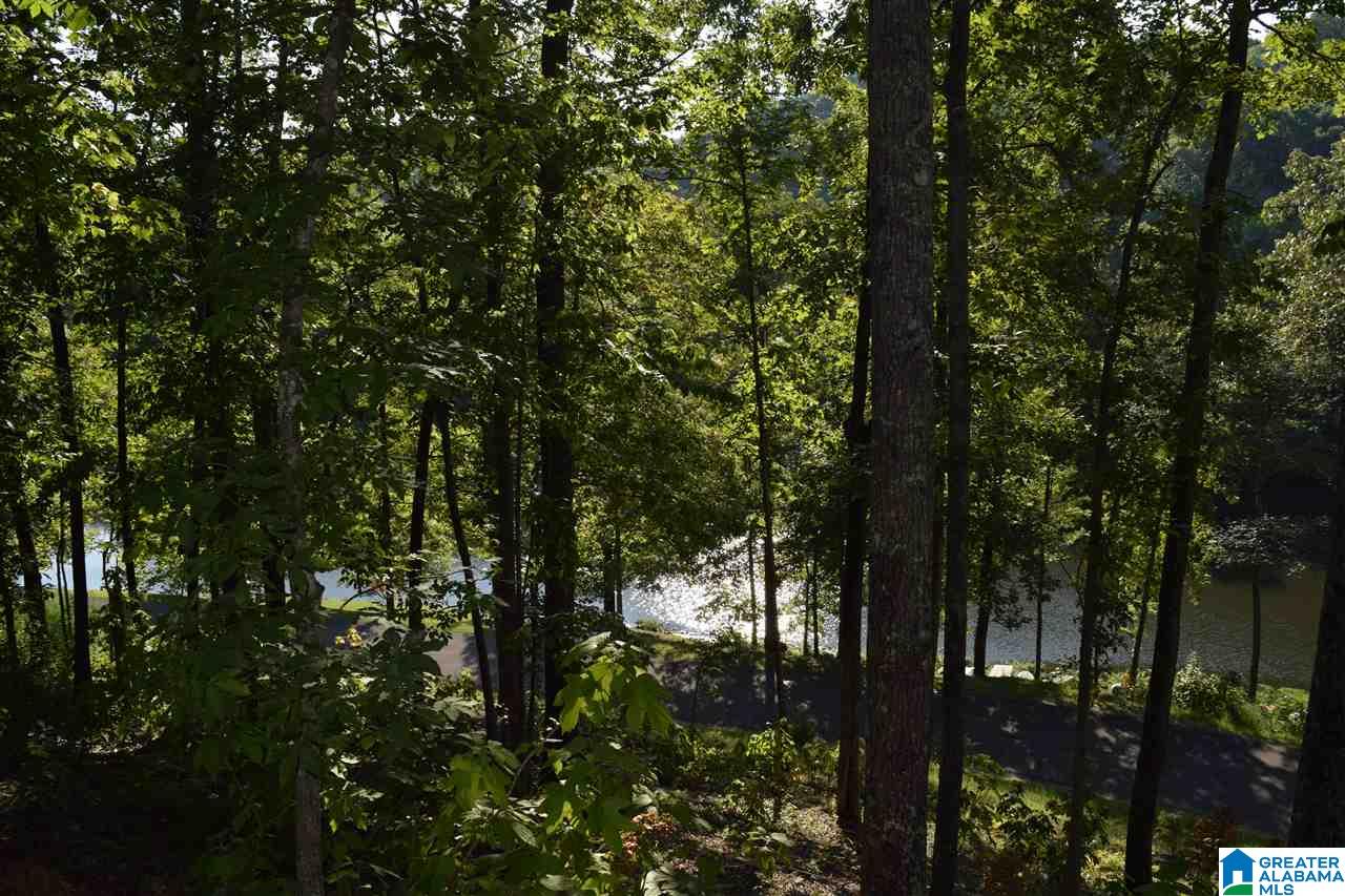 Lot 115 Ridge Drive, Unit 115 Hayden, AL 35079 - Photo 4 of 21
