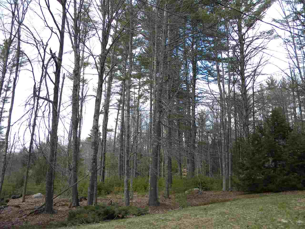 372 Deerfield Road Allenstown, NH 03275 - Photo 4 of 27