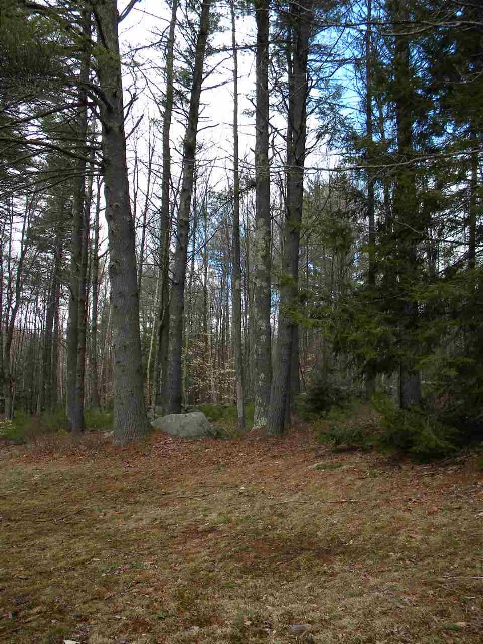 372 Deerfield Road Allenstown, NH 03275 - Photo 5 of 27