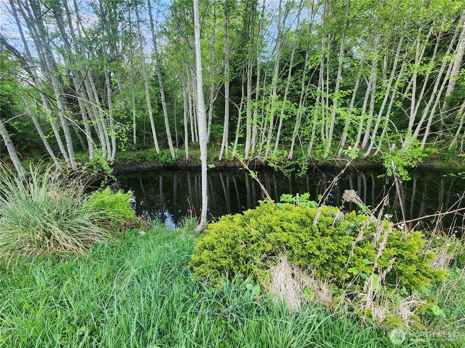 663 Whiskey Creek Beach Road Port Angeles, WA 98363 - Photo 19 of 38