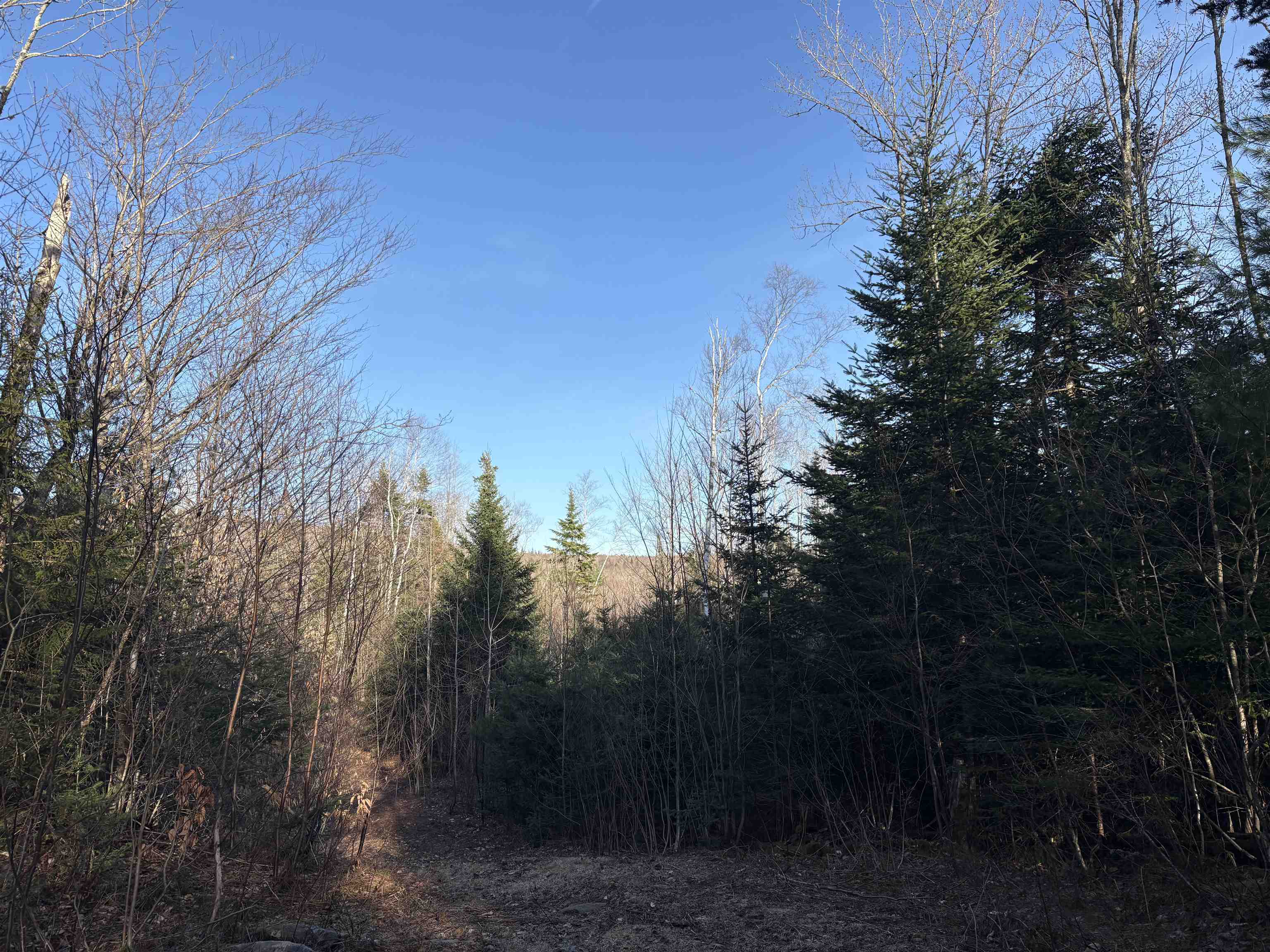 208 Drake Pl Road Sheffield, VT 05866 - Photo 12 of 27