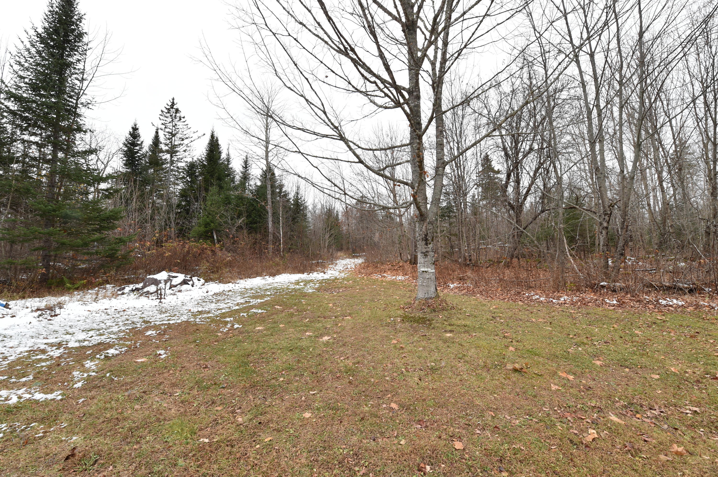 187 Tucker Ridge Road Springfield, ME 04487 - Photo 37 of 40 DSC_3725