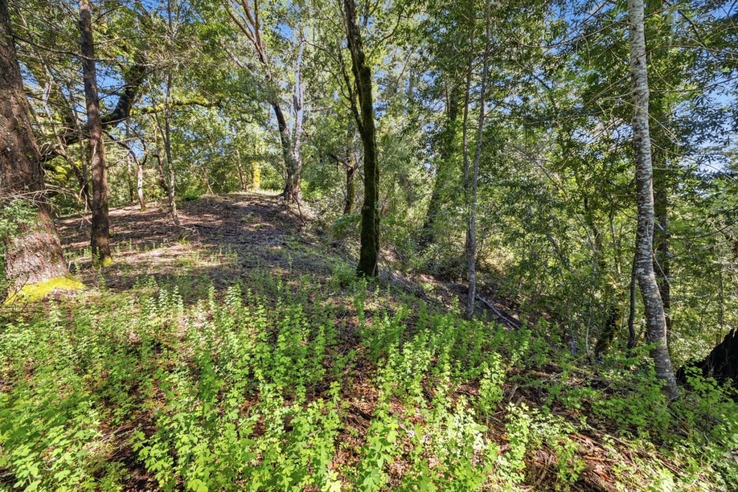 360 Rincon Way Boulder Creek, CA 95006 - Photo 32 of 46