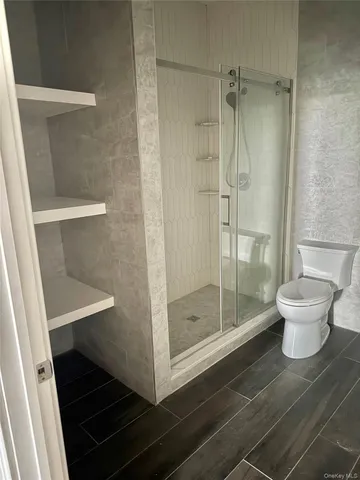 a bathroom with a shower and toilet