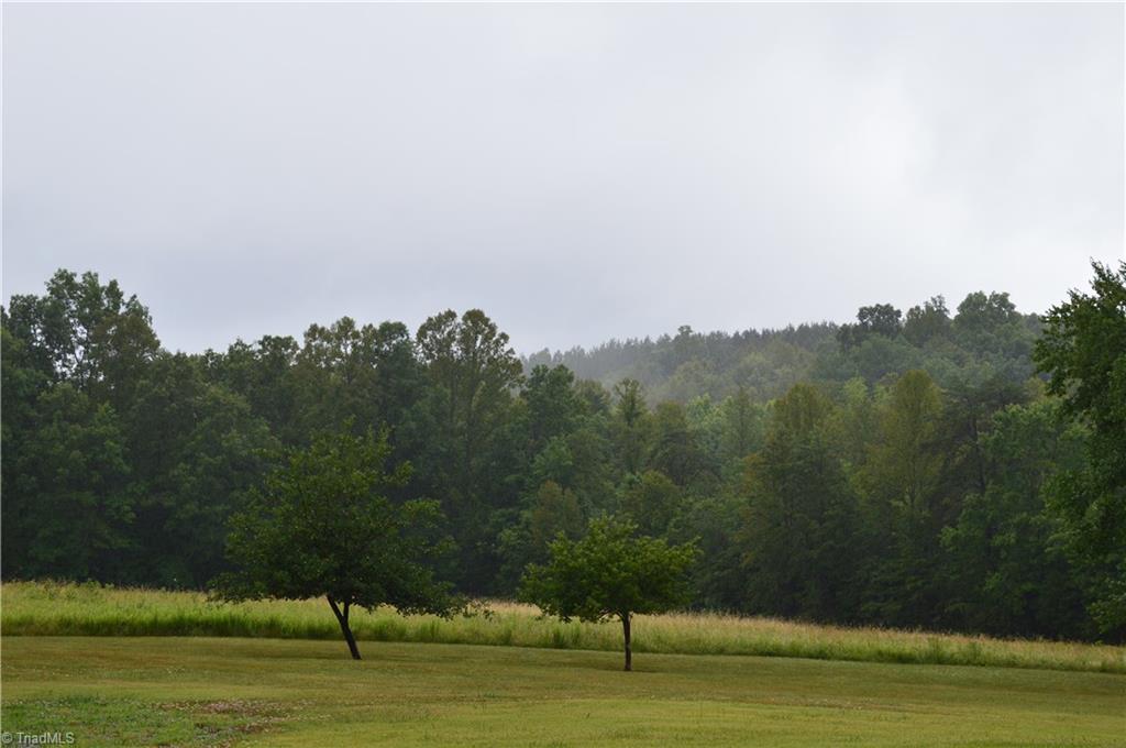 1341 Frank Joyce Road Sandy Ridge, NC 27046 - Photo 20 of 28