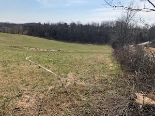 999 Chestnut Grove Road Brodhead, KY 40409 - Photo 3 of 5 Listing Photo