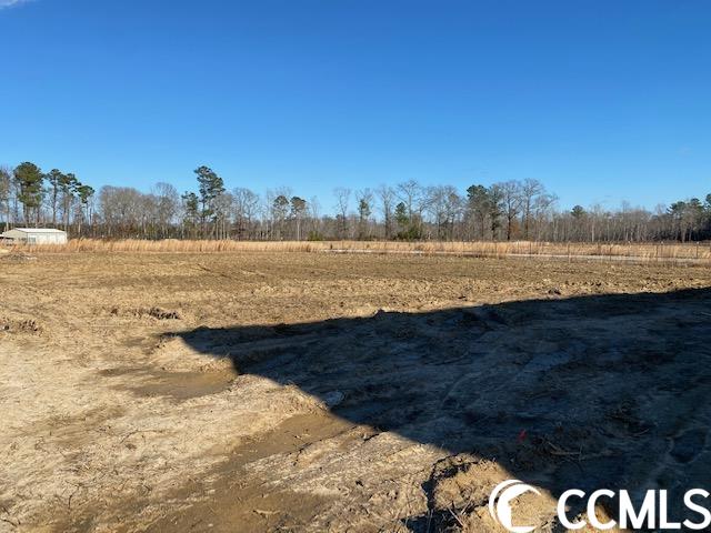 7712 Hunting Swamp Road Conway, SC 29527 - Photo 5 of 9 Gallery Image 5