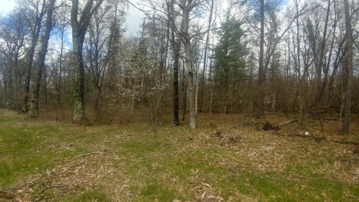 5 Baldwin Road Baldwin, MI 49304 - Photo 1 of 3 0515201232_HDR
