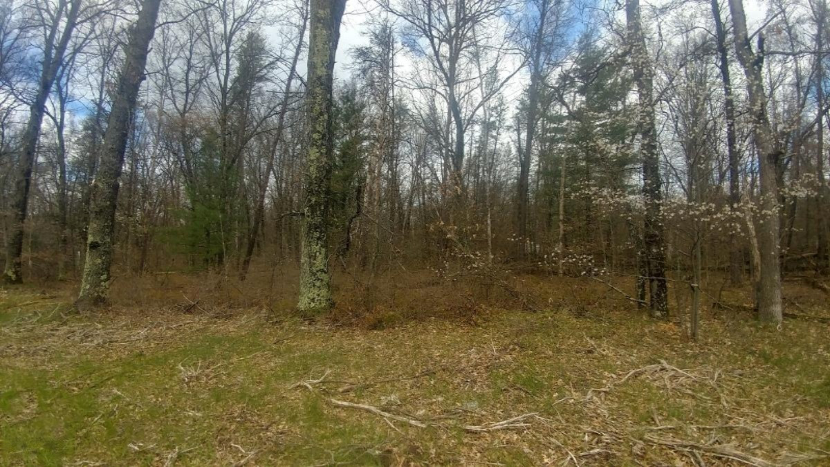 5 Baldwin Road Baldwin, MI 49304 - Photo 2 of 3 0515201232a_HDR