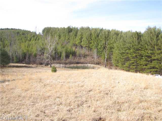 Tbd Cooper Cove Road Crumpler, NC 28617 - Photo 1 of 8 Land.