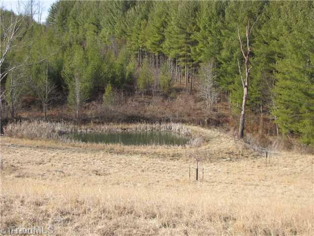 Tbd Cooper Cove Road Crumpler, NC 28617 - Photo 2 of 8 Land.