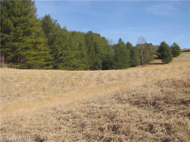 Tbd Cooper Cove Road Crumpler, NC 28617 - Photo 3 of 8 Land.