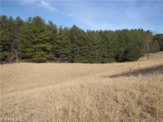 Tbd Cooper Cove Road Crumpler, NC 28617 - Photo 4 of 8 Land.