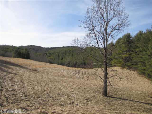 Tbd Cooper Cove Road Crumpler, NC 28617 - Photo 5 of 8 Land.
