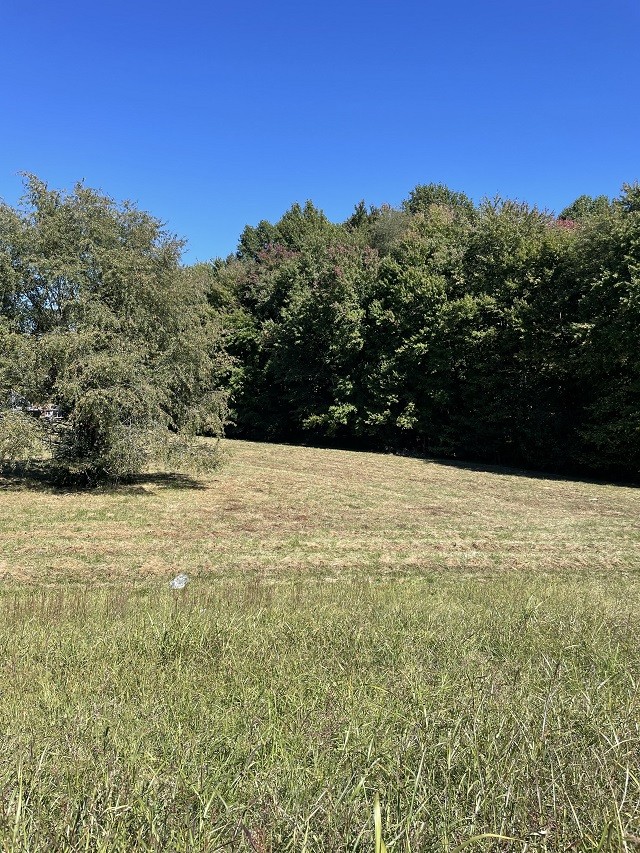 902 Days Road Lafayette, TN 37083 - Photo 29 of 65