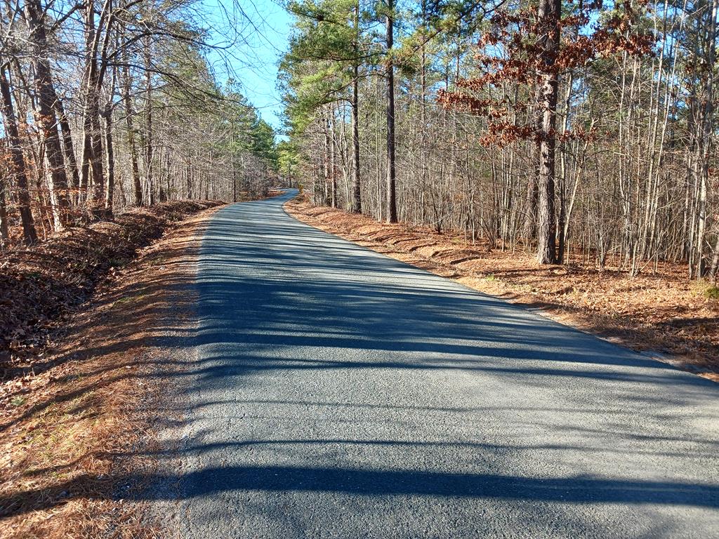 Gully Tavern Road, Unit 6A Rice, VA 23966 - Photo 1 of 1 Gallery Image 1